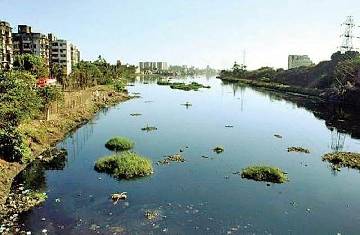 BMC Elections updates