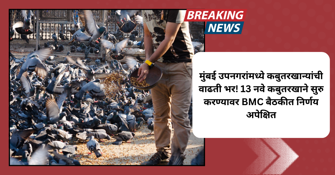 मुंबई उपनगरांमध्ये कबुतरखान्यांची वाढती भर! 13 नवे कबुतरखाने सुरु करण्यावर BMC बैठकीत निर्णय अपेक्षित