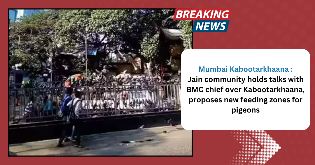 Mumbai Kabootarkhaana : Jain community holds talks with BMC chief over Kabootarkhaana, proposes new feeding zones for pigeons