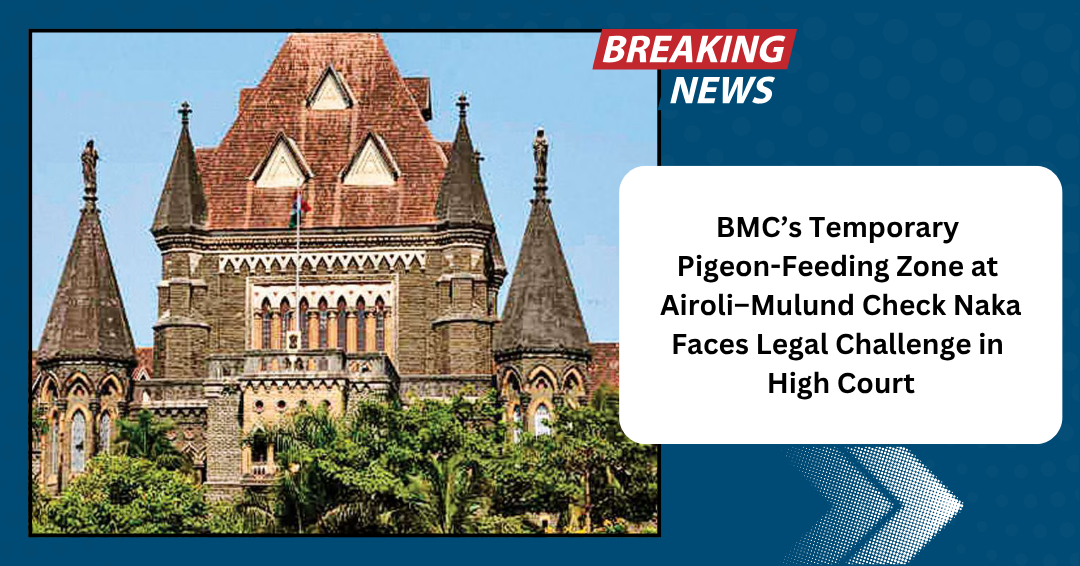 BMC’s Temporary Pigeon-Feeding Zone at Airoli–Mulund Check Naka Faces Legal Challenge in High Court