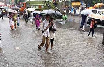 BMC Elections live