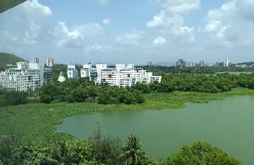 The objection raised by NGO in Mumbai for using chemicals in Powai Lake