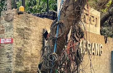 BMC Elections 2022