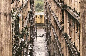 Mumbai: Owing to lack of Audit Report, No Annual General Meeting for Housing Societies